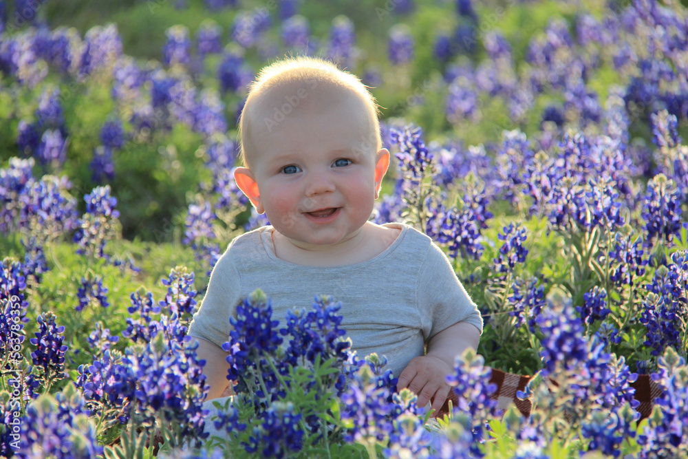 fuzzy blonde baby in the bluebonnet field texas fuzzy blonde baby in the bluebonnet field texas