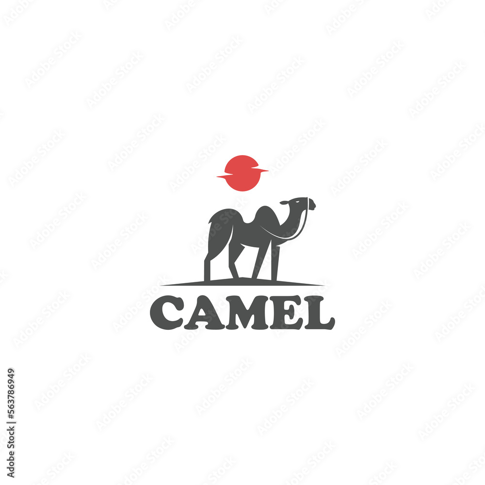 camel logo standing in the desert design vector illustration