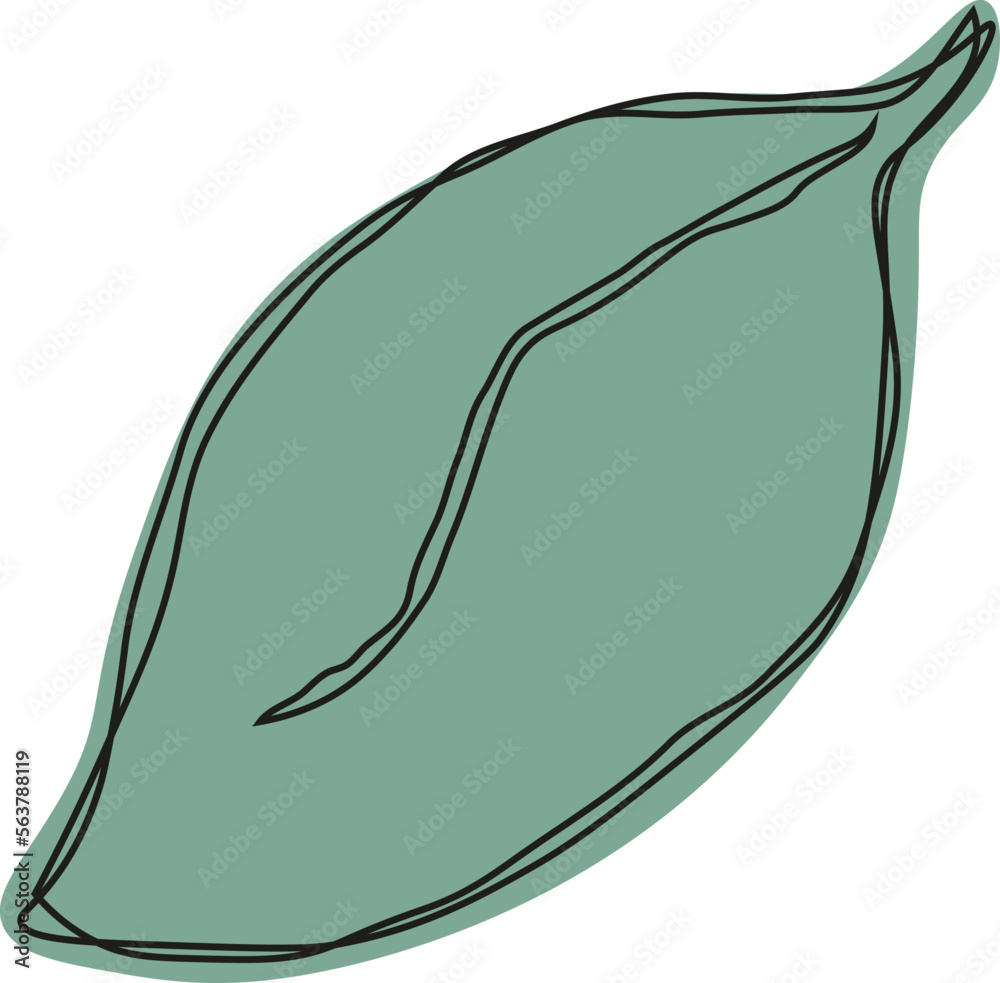 Green lemon leaves. Leaf, clipping path, isolated on white background. Yellow. Citrus. Minimalist doodle style. Black line. Vector illustration. Green lemon leaves. Leaf, clipping path, isolated on white background. Yellow. Citrus. Minimalist doodle style. Black line. Vector illustration.