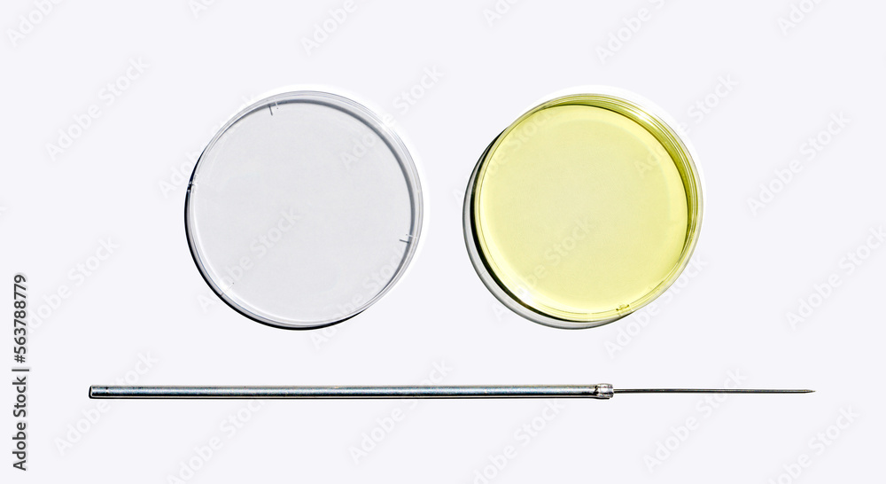 Poly Aluminium chloride liquid in Petri dish with plastic lid place