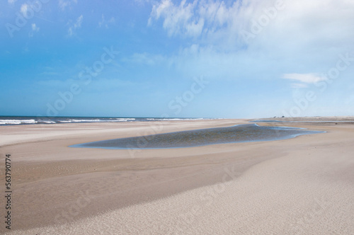 sandy beach and sea in brazil