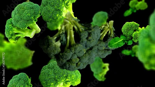 Falling Broccoli Background   with Alpha Matte, Loop 
