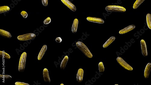 Looping animation featuring a cloud of Pickles floating in place on an alpha transparent background.