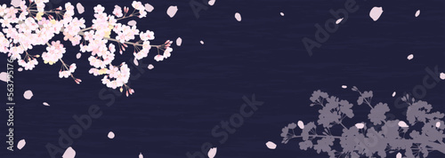 夜空を見上げた、落ち着いた雰囲気の桜の背景イラスト