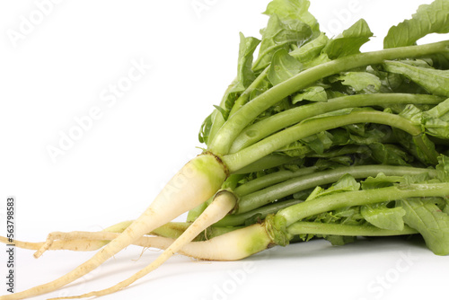 Dandelion, Dandelion Green, Leaf Vegetable on white background photo