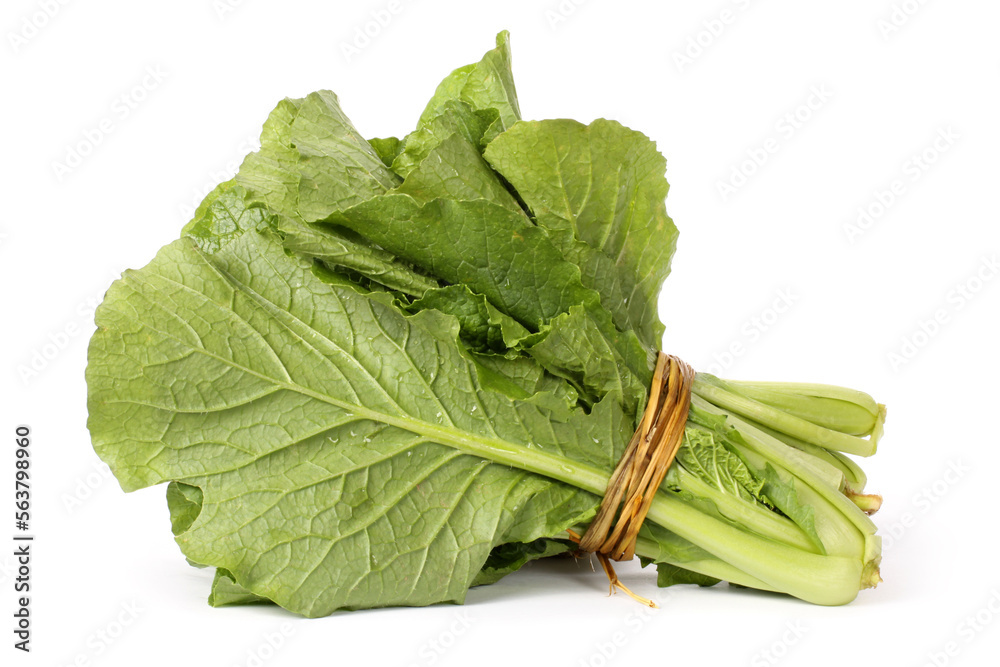 Small Chinese cabbage on white background Small Chinese cabbage on white background