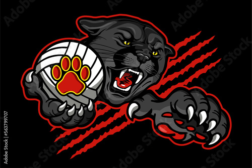 panther mascot holding volleyball for school, college or league sports