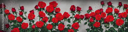 Gorgeous red roses - panoramic illustration of colorful red rose flowers. Showing pretty petals  these fragile plants are eye-appealing and beloved. Made by generative AI