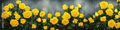 Gorgeous yellow roses - panoramic illustration of colorful yellow flowers. Showing pretty petals  these fragile plants are eye-appealing and beloved. Made by generative AI