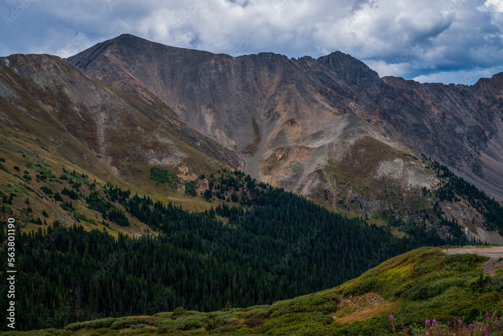 Fototapeta premium Rocky Mountains 16