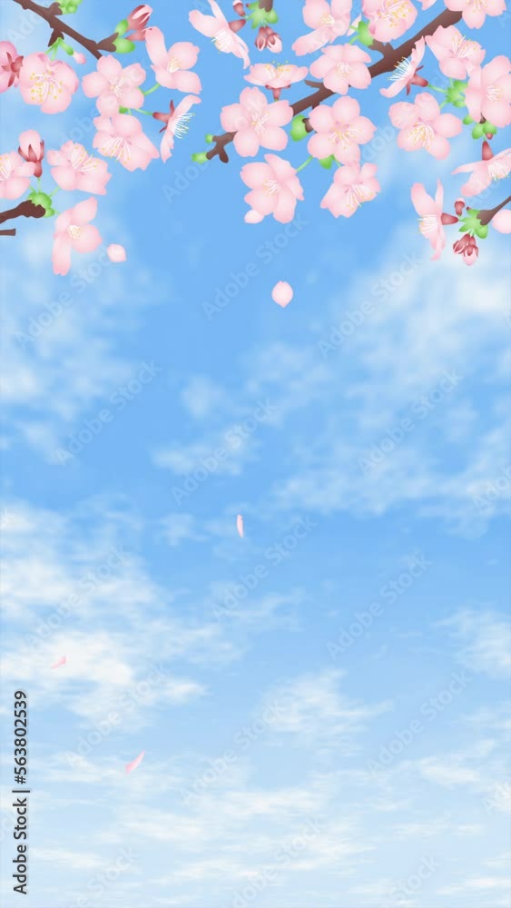風に揺れる桜の花と舞い散る花びら、雲が流れる空の縦型ループアニメーション動画素材 風に揺れる桜の花と舞い散る花びら、雲が流れる空の縦型ループアニメーション動画素材