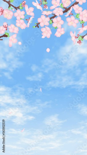 風に揺れる桜の花と舞い散る花びら、雲が流れる空の縦型ループアニメーション動画素材