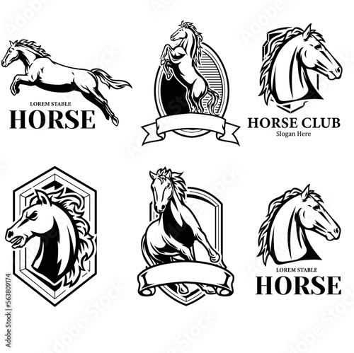 Obraz na płótnie Set of horse badge in vintage illustration style