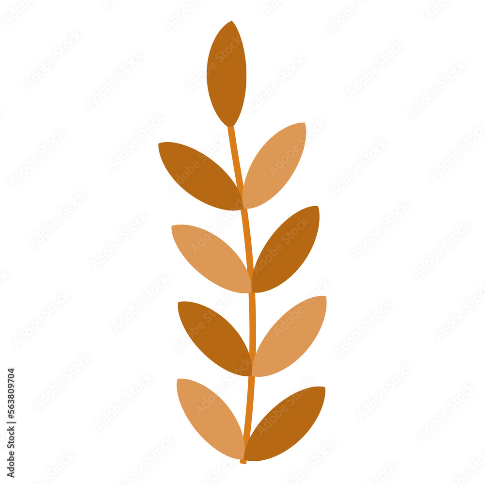 leaves isolated on white leaves isolated on white