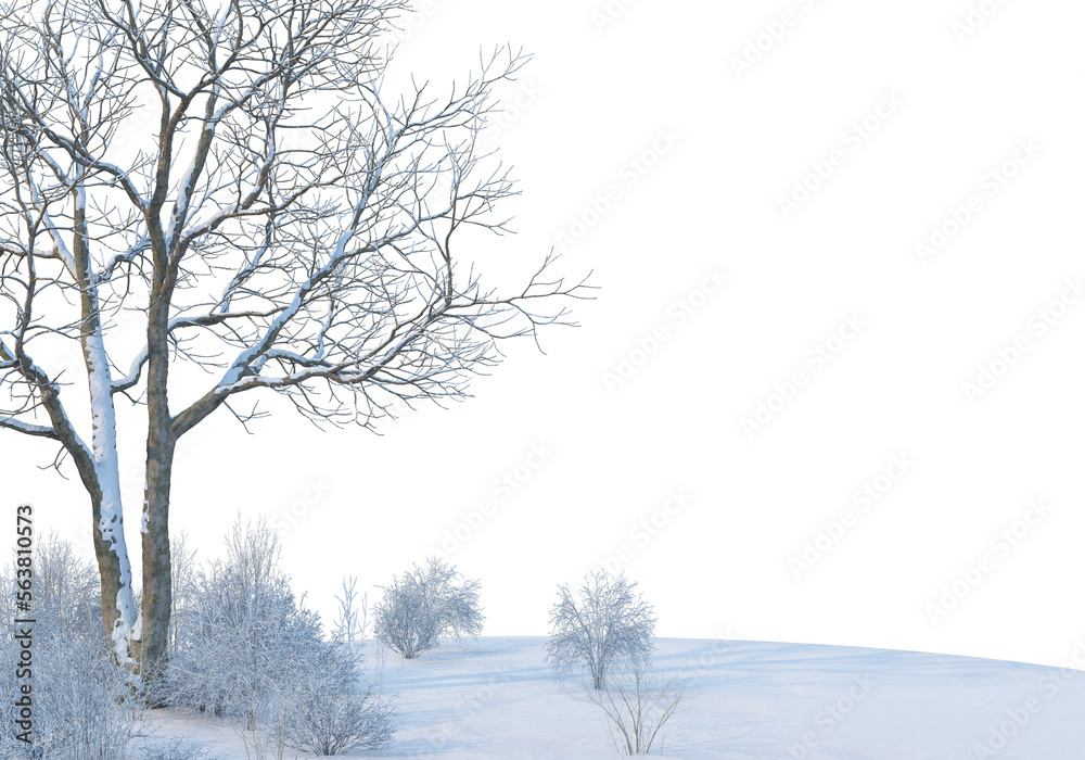 Obraz premium 3D render forests and nature during winter