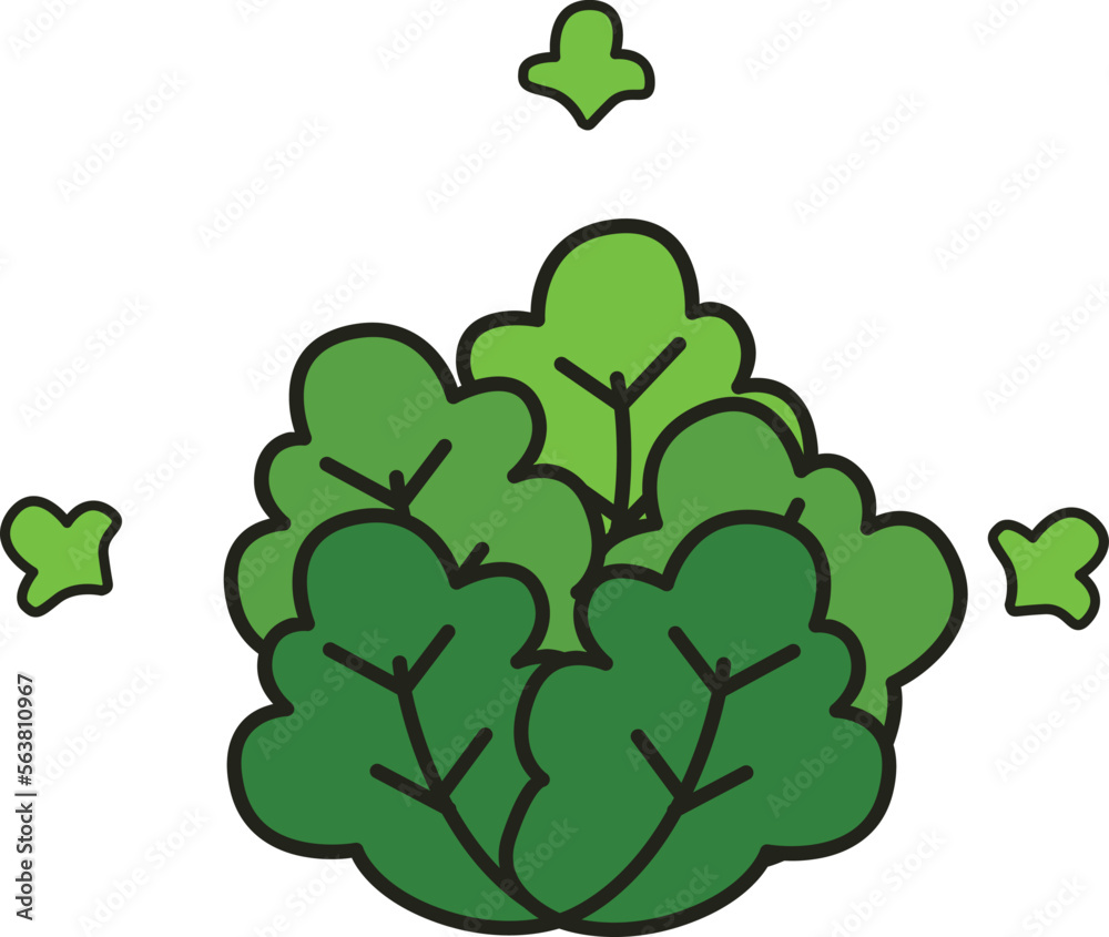 Bouquet of green leafy vegetables icon Bouquet of green leafy vegetables icon