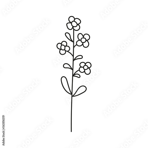 Hand drawn illustration of flowers