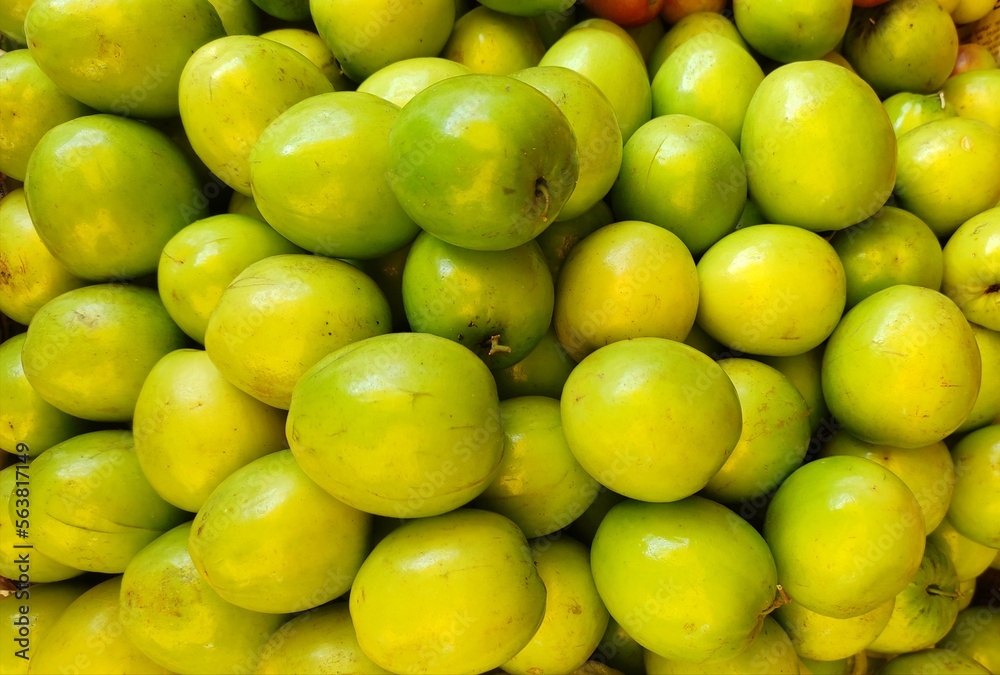 Ziziphus mauritiana, also known as Indian jujube or Indian plum is a tropical fruit tree species belonging to the family Rhamnaceae. Ziziphus mauritiana, also known as Indian jujube or Indian plum is a tropical fruit tree species belonging to the family Rhamnaceae.