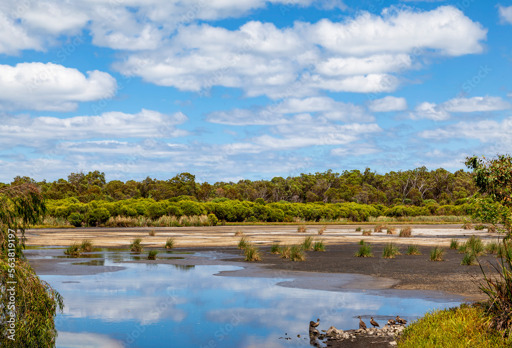 Yanchep National Park Perth WA