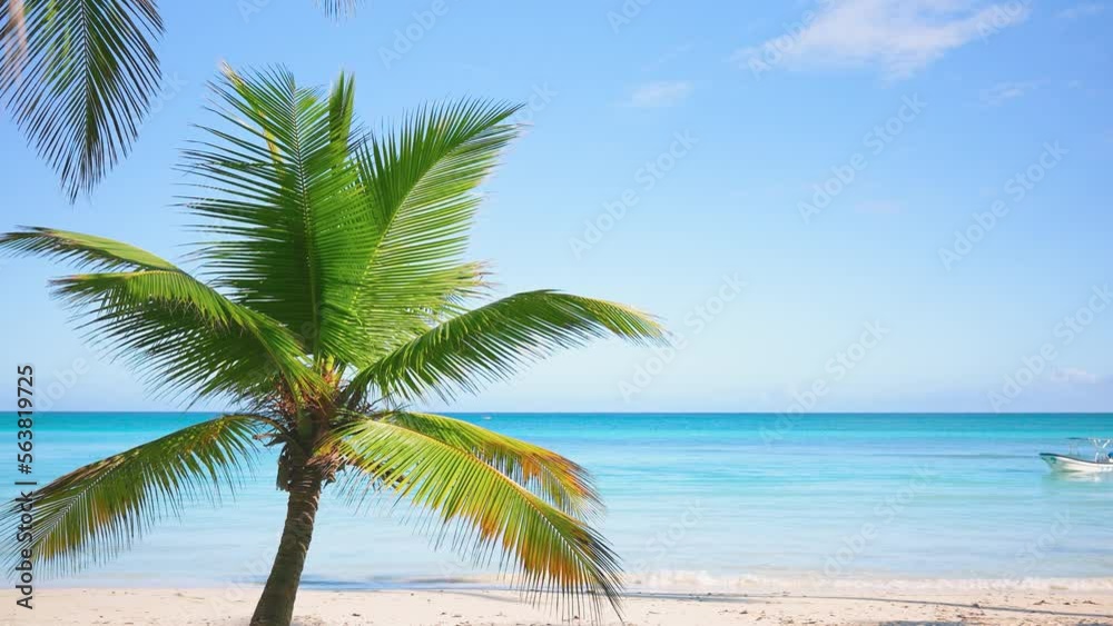 Palm branches against the backdrop of a beautiful sky and blue ocean. Green palm leaves are moving in the wind. Beach travel concept. Paradise island with palm trees. White boat on blue waves. Palm branches against the backdrop of a beautiful sky and blue ocean. Green palm leaves are moving in the wind. Beach travel concept. Paradise island with palm trees. White boat on blue waves.