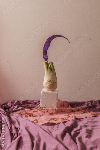 Stillife with onion and violet plumage 