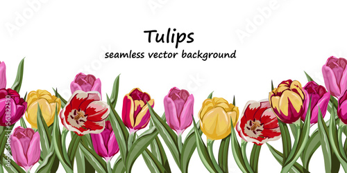 Floral tulip endless border and horizontal seamless ornate. Spring flowers seamless background imitating watercolor drawing, vector hand drawn illustration.