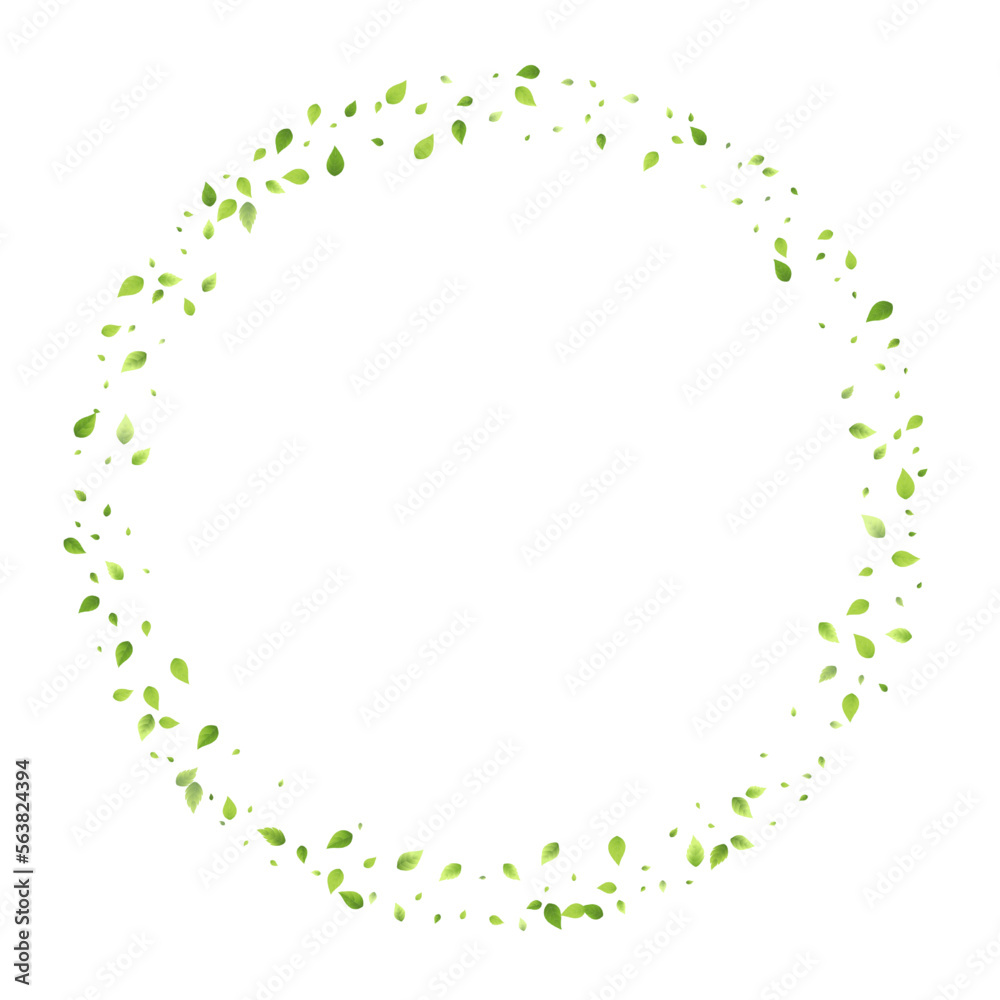 Leaves Green Falling Flying Foliage Leaf Tea Mint Leaves Green Falling Flying Foliage Leaf Tea Mint