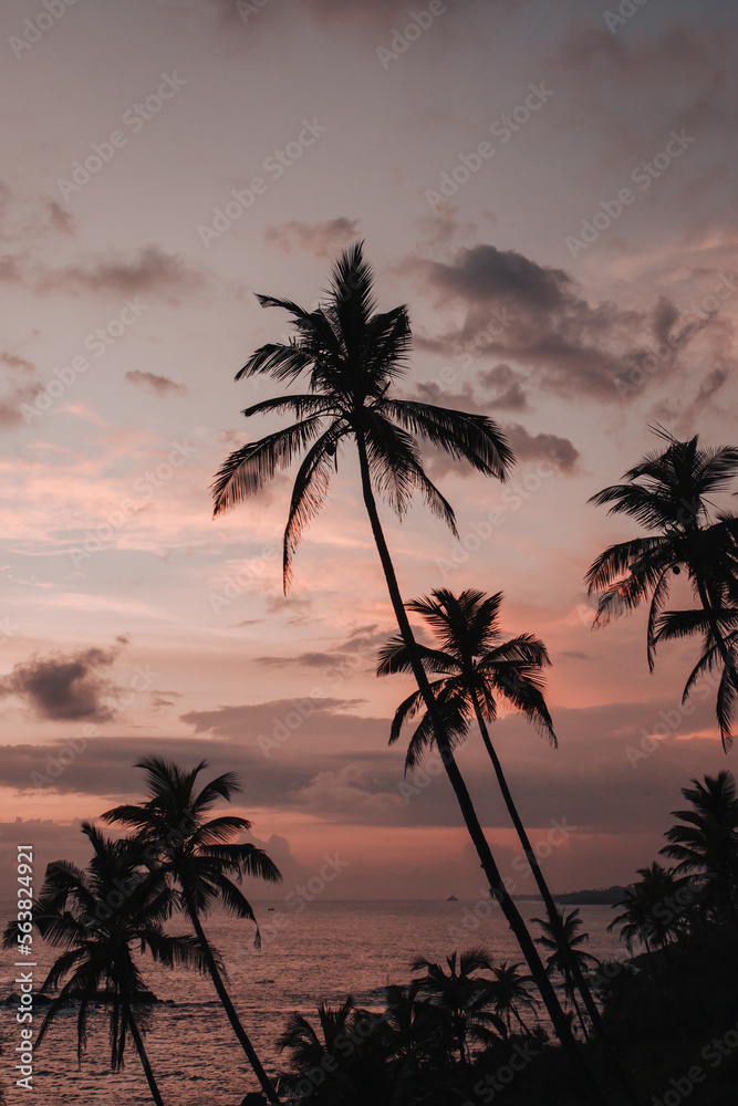 Mirissa, Sri Lanka : sunset over the ocean with palm trees in the foreground