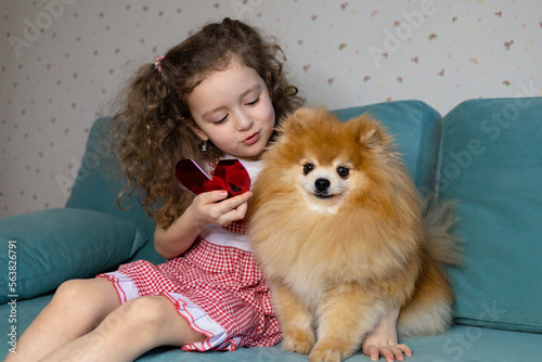love, friendship concept. little cute girl and spitz dog holding a heart card. child and pet on valentines day. kid and Pomeranian friends hug, childhood © Елена Якимова
