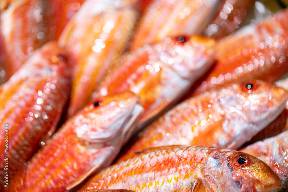 Peces frescos en la lonja del pescado de un puerto / pescaderia. Pesca, fresco, frescor, comida, dieta mediterránea.