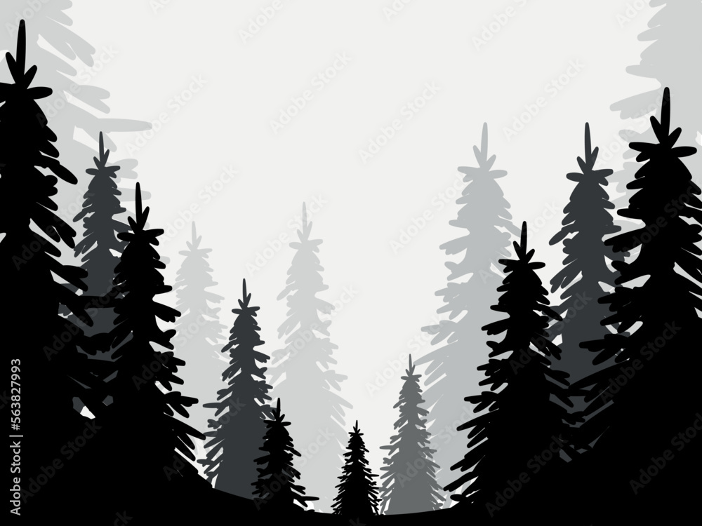 Fototapeta premium Forest background. Coniferous trees, pine trees vector silhouette.