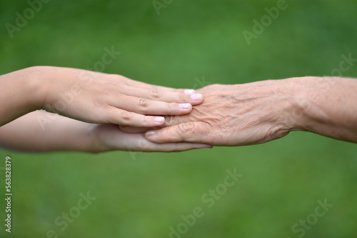 senior woman and child holding hands on a green background 