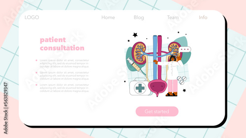 Urologist web banner or landing page. Urinary system examination