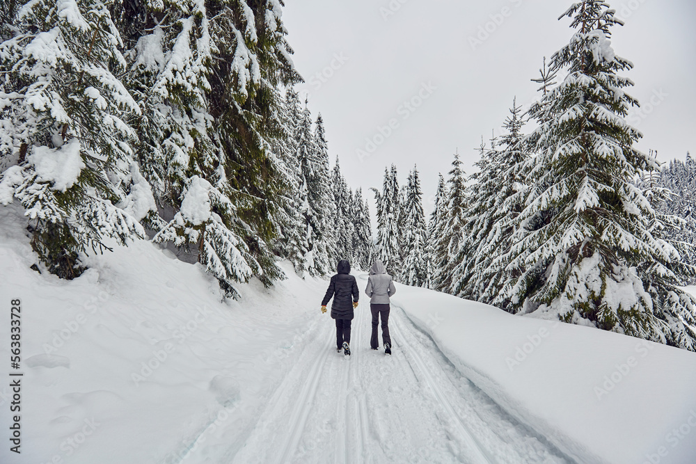 Tourists walking on a snowy trail