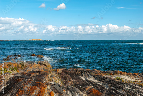 Obraz na płótnie Dunsborough, Western Australia, Australia. w salonie