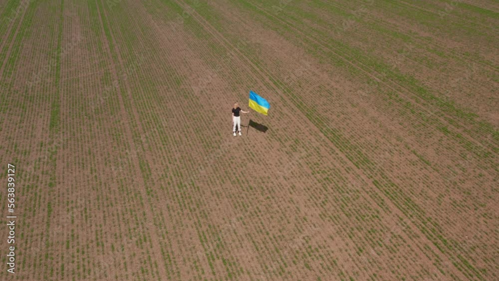 A human standing with Ukrainian flag on the field background. European girl stands with Ukrainian flag on a flag stock. The flag fluttering on the wind. High quality 4k footage A human standing with Ukrainian flag on the field background. European girl stands with Ukrainian flag on a flag stock. The flag fluttering on the wind. High quality 4k footage