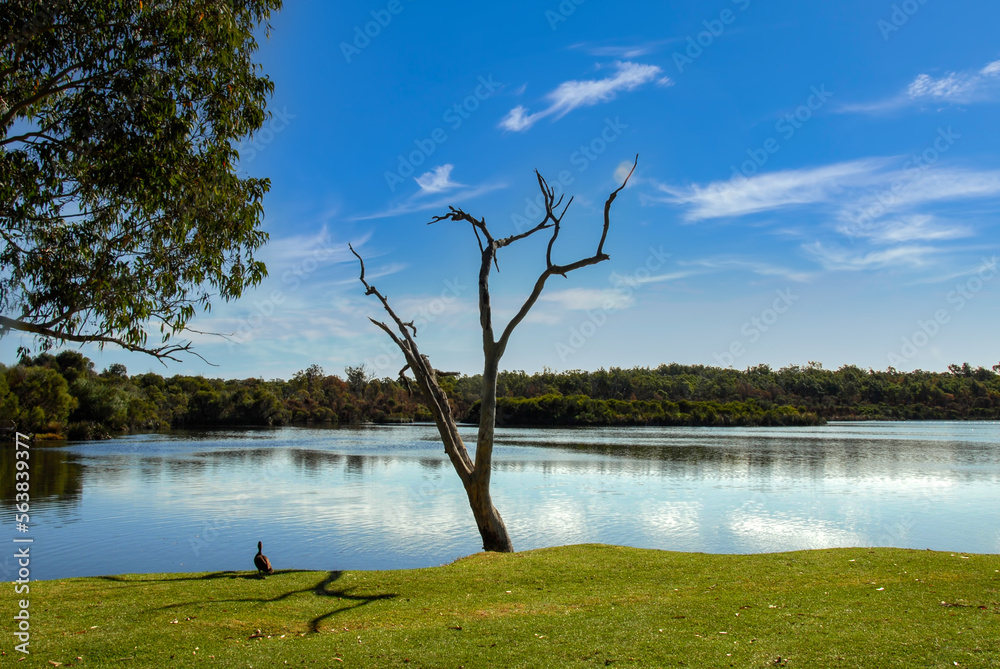 Yanchep National Park Western Australia