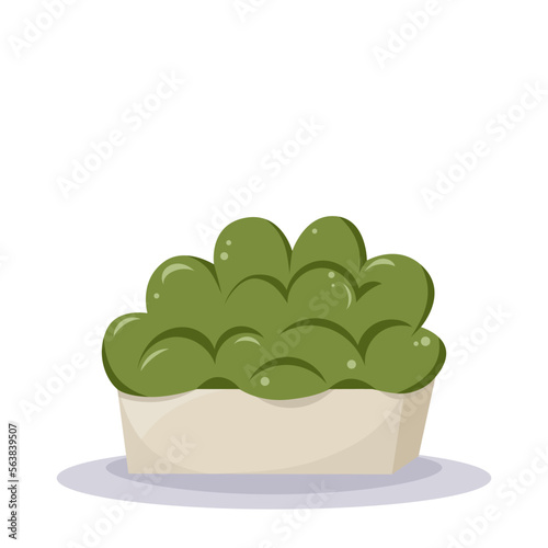 Bush. Home plant in the minimalistic pot. Home decor and gardening concept. Cute isolated vector illustration for product design and decoration