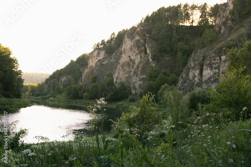 Bright summer landscape with river in rocky canyon with lush green coniferous forest in golden morning sunlight and grass on meadow in bloom. Beautiful wild nature and travel outdoors.