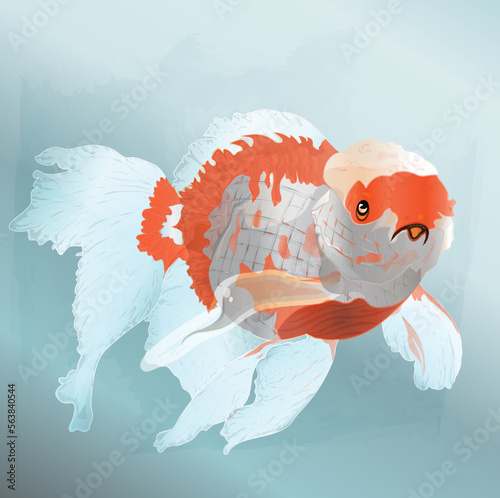 Cute Fish In The Water