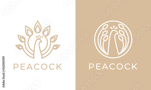 peacock graphic art illustration with luxury style, simple minimalist gold peacock logo