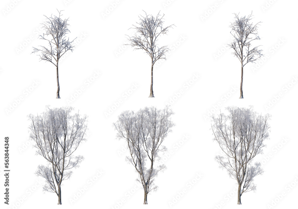 Obraz premium 3D render forests and nature during winter