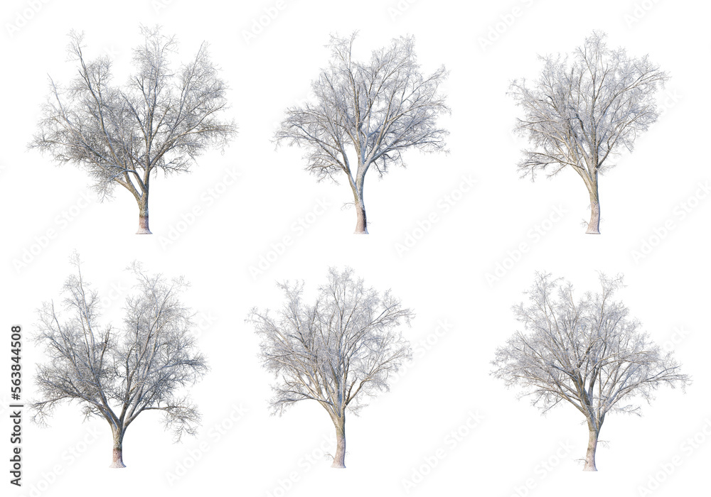 3D render forests and nature during winter 3D render forests and nature during winter