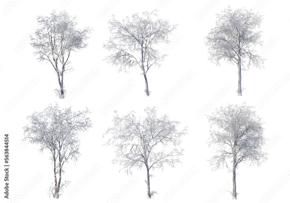 Fototapeta premium 3D render forests and nature during winter