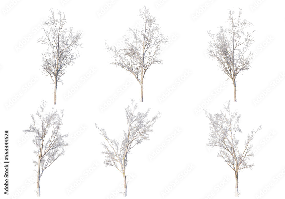 Obraz premium 3D render forests and nature during winter