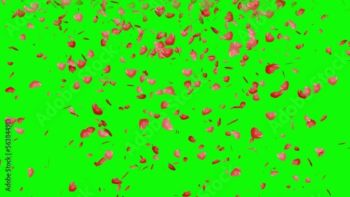 Love heart falling down background animation