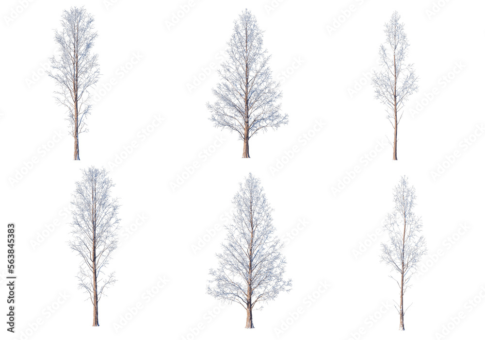 3D render forests and nature during winter 3D render forests and nature during winter