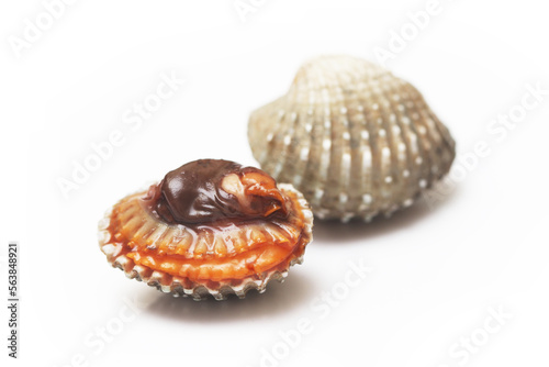 Cockle clams isolated white background. grilled clams seafood of Thailand. © Thaisucculents