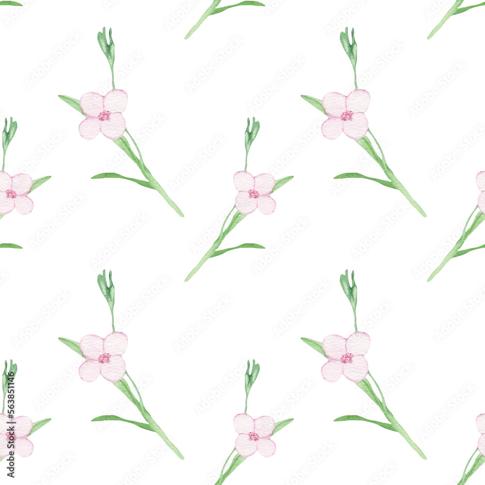 Rose wild flowers pattern.Watercolor hand drawn floral print isolated on white background.