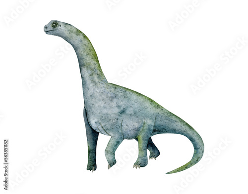 Camarasaurus sauropod dinosaur watercolor illustration. Brachiosaurus drawing, prehistoric herbivore animal © Elena Malgina